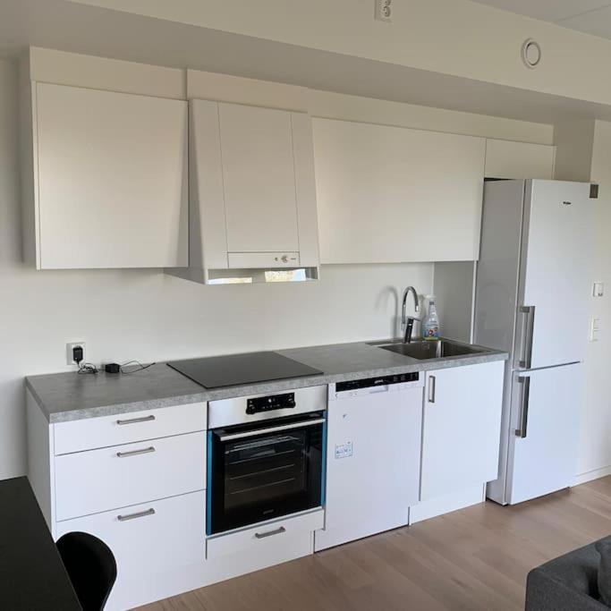 Scandpoint Apartment Fornebu Near Sea Front With Outdoor Walk! Стабекк Экстерьер фото